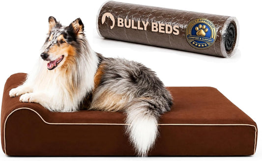 Orthopedic Dog Bed – Medical Grade Memory Foam Premium Quality Bed for Giant & Senior Dogs - Waterproof Liner Large Dog Bed for Arthritic Joints - Color: Chocolate - Large (48L X 30W X 7H)