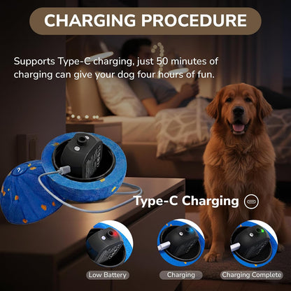Interactive Dog Ball Blue 3.23In Smart Interactive Dog Toy, Durable E-TPU Dog Balls, Interactive Dog Toys for All Dogs, USB-C Fast Charge, IPX7 Waterproof